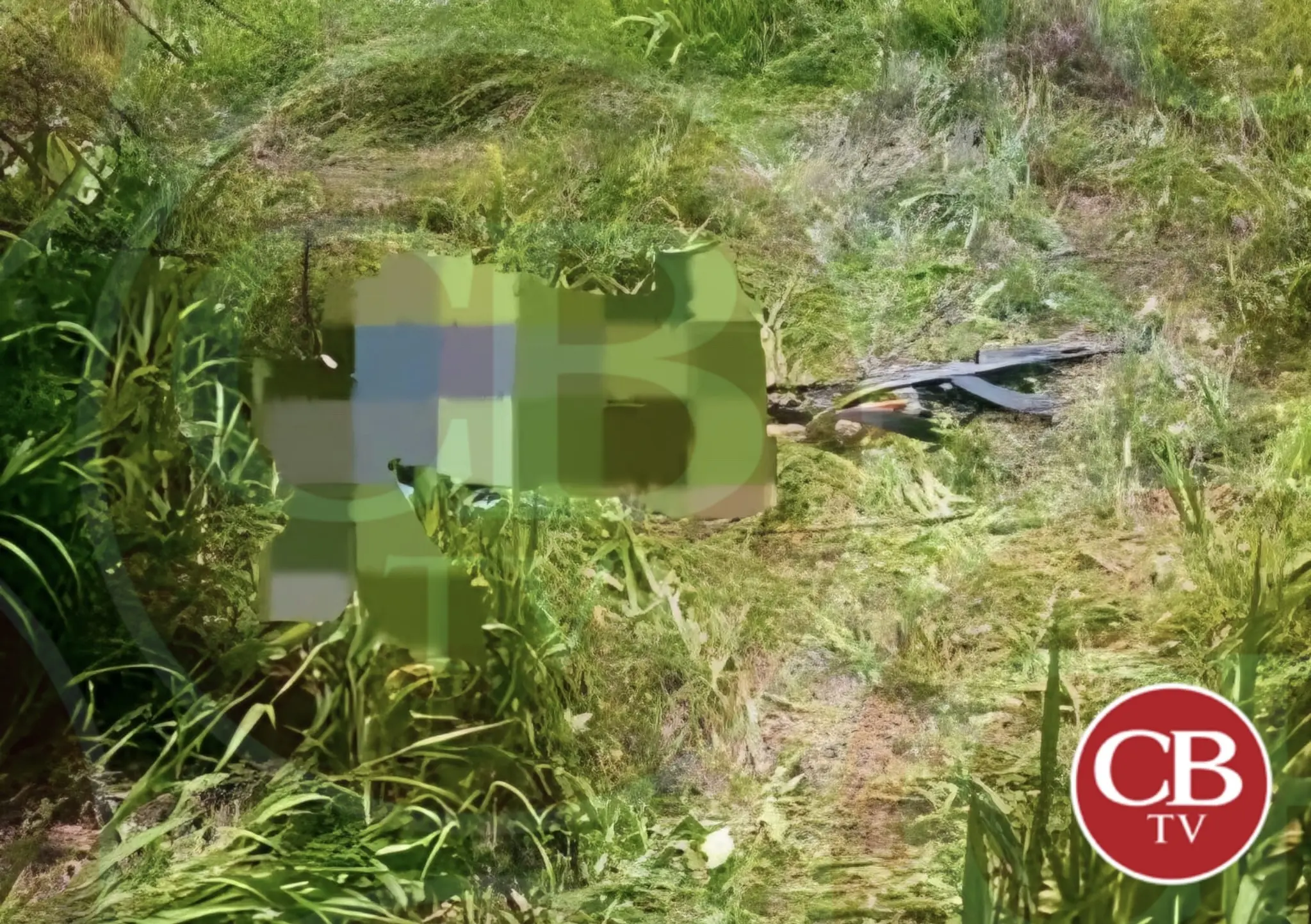 Capturan a “Peso Pluma” en Michoacán 