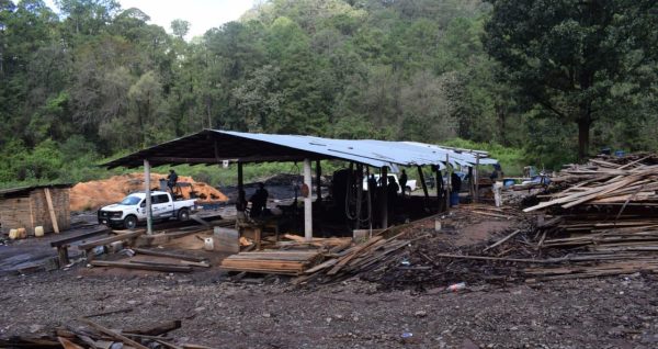 Catean centro maderero en el municipio de Madero