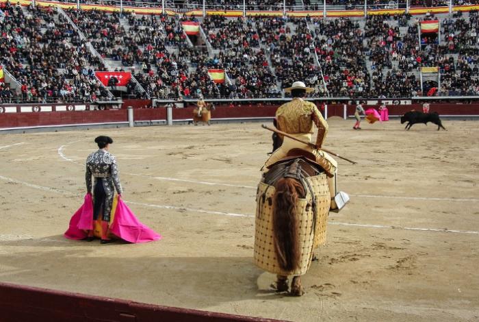 Celebra Tauromaquia Mexicana exclusión de las corridas en nueva ley de bienestar animal