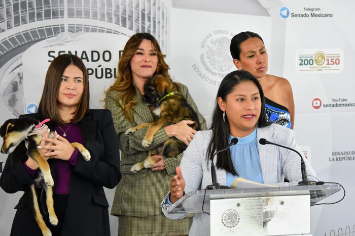  Celeste Ascencio: “Justicia para los animales”