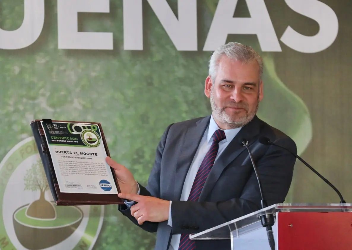 Certificado con Proforest Avocado, el 67 % del aguacate exportado a EUA: Bedolla