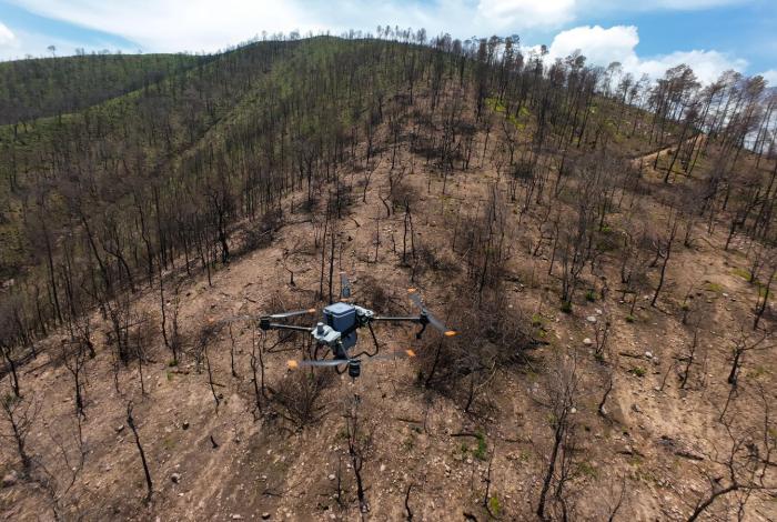 Certificado de ‘cero deforestación’ o certificado de impunidad
