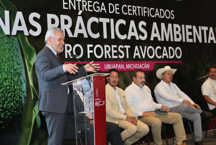 Certifican con Proforest Avocado al 67 % del aguacate que va a EUA: Bedolla