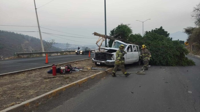 Chocan contra un árbol en la carretera Morelia-Mil Cumbres