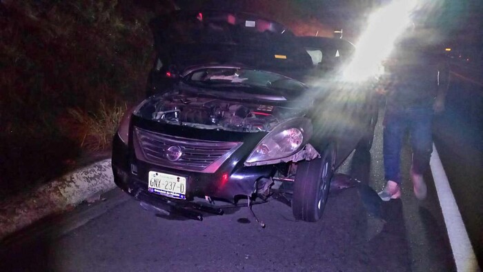  Choque de auto contra vaca en la autopista Siglo XXI