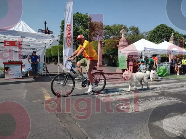 Ciclovía Dominical Recreativa de Morelia, continúa maravillado a locales y visitantes