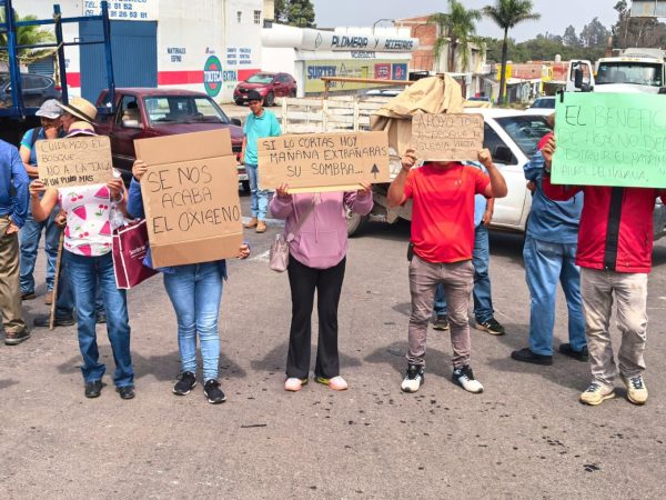 Cierran carretera comuneros de Tacámbaro, claman freno a la tala en seis localidades