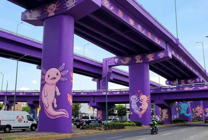 Ciudad de México se 'ajolotiza' para el Mundial mientras la especie desaparece