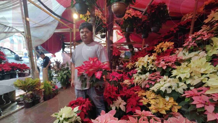 Comerciantes esperan grandes ventas de Nochebuena