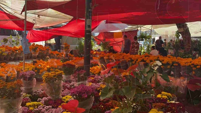  Comerciantes invitan a comprar flores de cempasúchil al Mercado Independencia