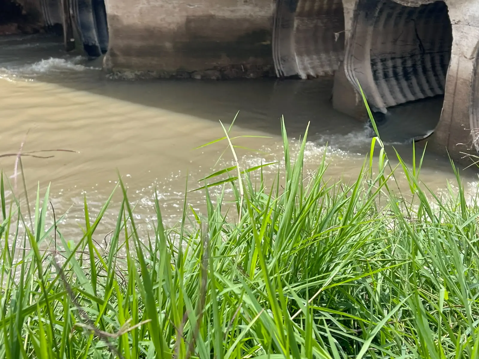Comerciantes y vecinos de Siervo de la Nación piden apoyo por fuertes lluvias