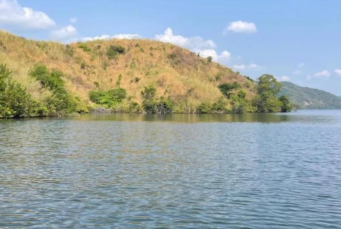 Compesca libera 100 mil alevines de tilapia en Lázaro Cárdenas