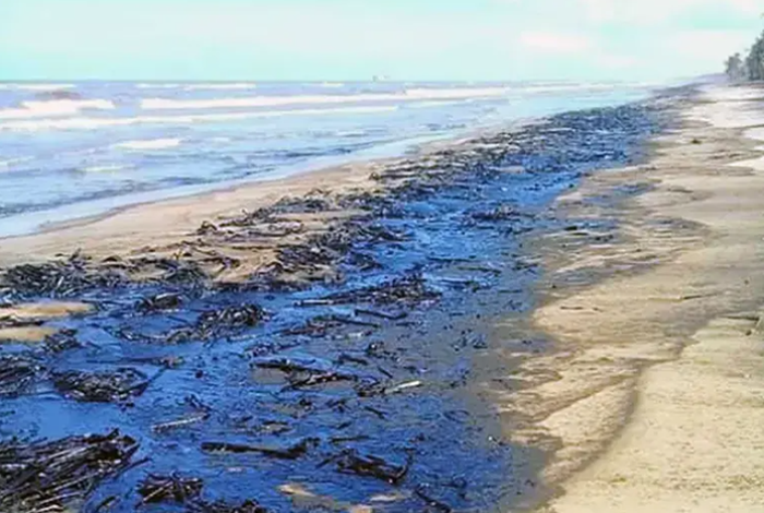 Comunidades y activistas denuncian contaminación por petróleo en playas del Golfo de México