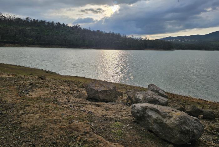 Conagua realiza estudios para determinar cuándo desazolvar la presa de Cointzio