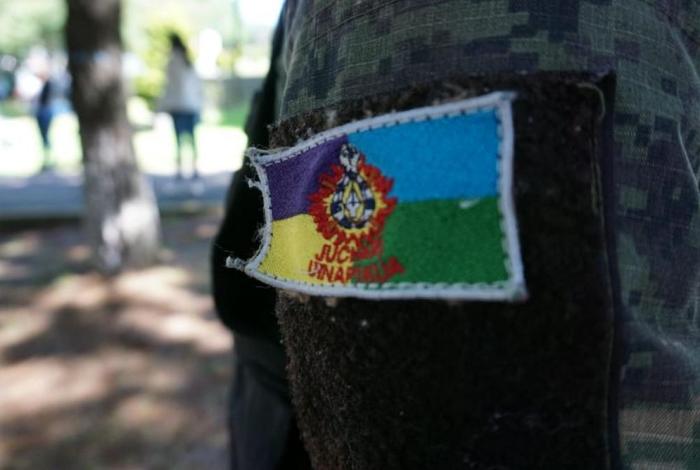 Concejo Mayor de Cherán violentó los derechos de una integrante: Teemich