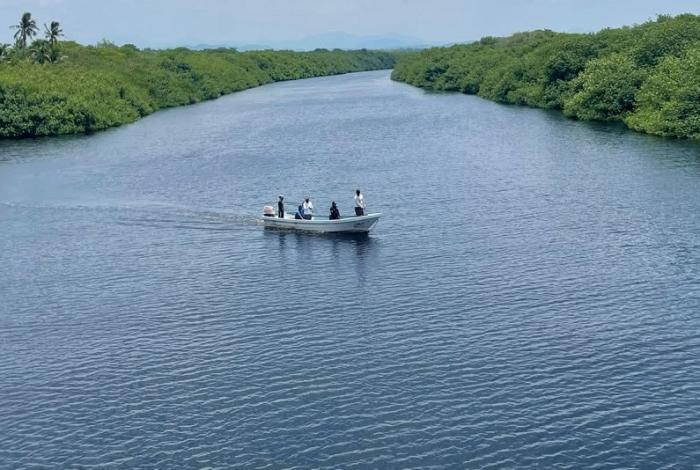 Concluye sin éxito búsqueda de menor devorado por cocodrilos en LC