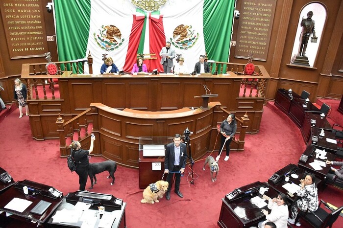  Congreso de Michoacán aprueba regulación para el uso de pirotecnia