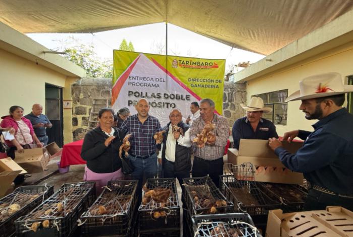 Continúan los programas sociales en Tarímbaro: Entregan pollitas doble propósito a familias del Municipio