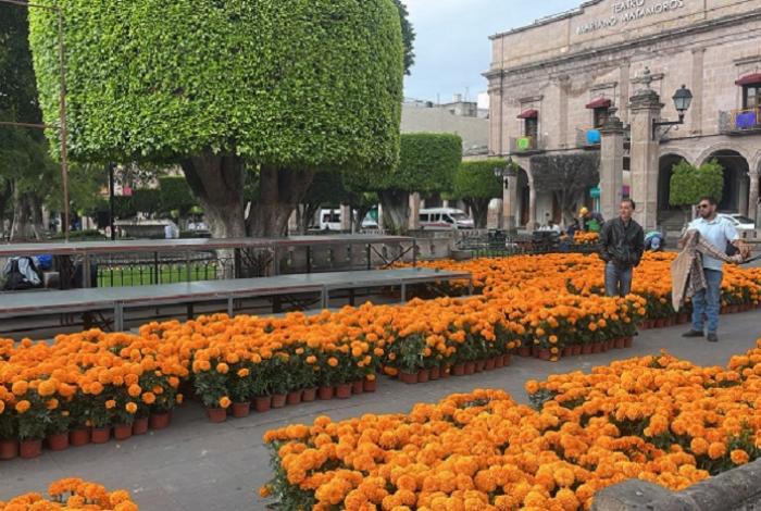 Controladas las plagas de roedores que había en la 'Calzada a San Diego' y Plaza de Armas y en San Francisco