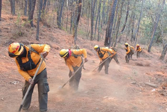 Controlado al 100 % incendio en Nuevo Urecho