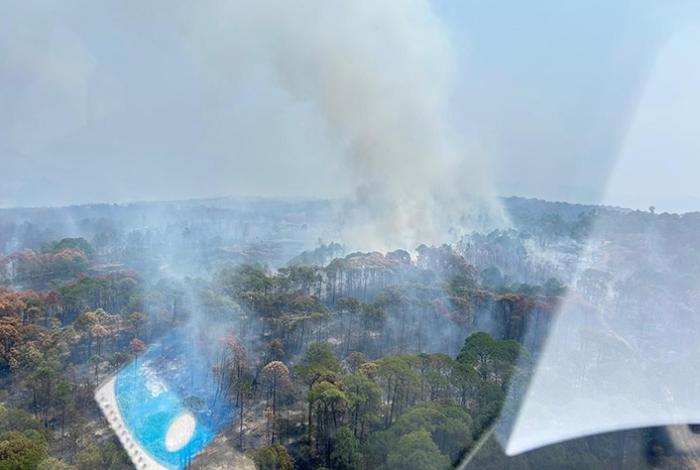 Controlado el 90 % del incendio forestal en el Área Natural Protegida de Tzitzio