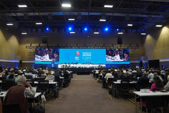 COP16 en Colombia acuerda pagos por uso de la información genética