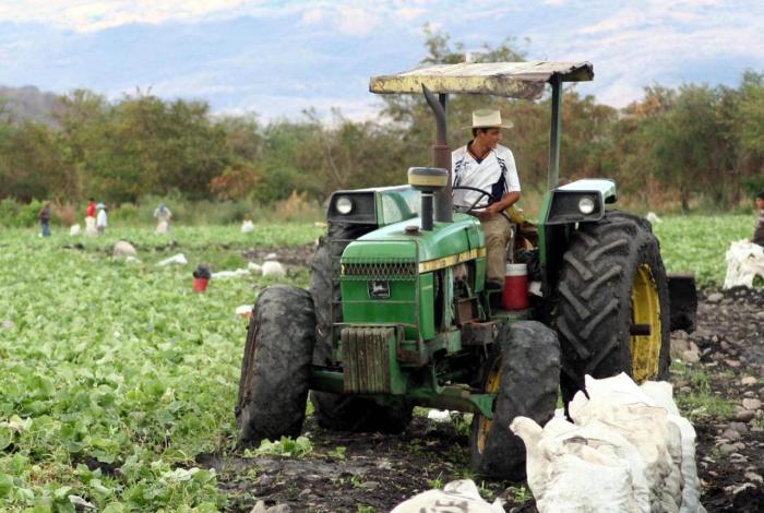 Crece 1.7% la economía de Michoacán en primer trimestre de 2026: INEGI