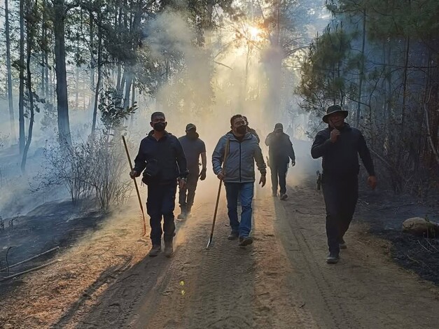 Crónica | El fuego acecha la cuna de la Mariposa Monarca