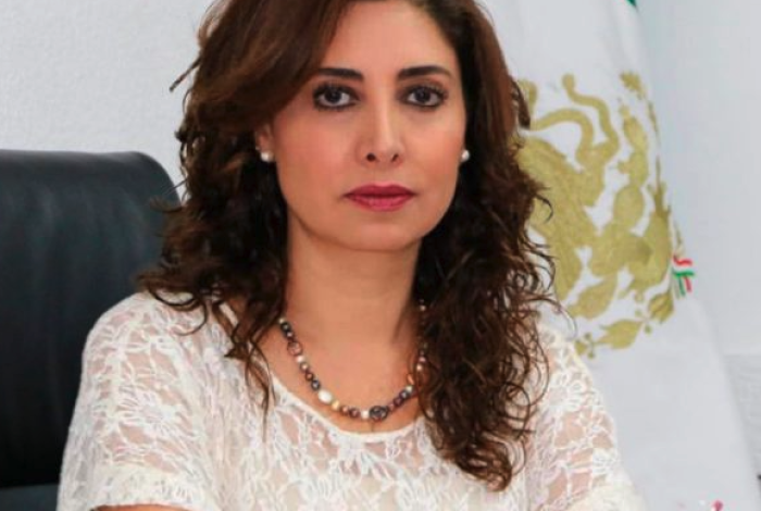 Debate sobre las consejerías del INE. El análisis de la Dra. Yurisha Andrade Morales