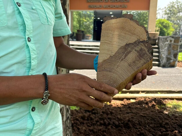  Dendrocronología: Una ventana a los fenómenos naturales a través de los árboles según experto de la UNAM Morelia