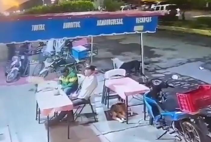 Denuncian en redes sociales presunto ataque con agua hirviendo contra dos perros en Tanhuato
