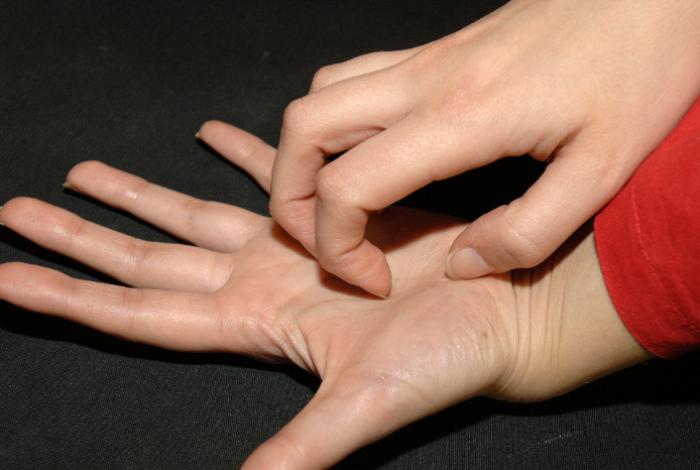 Dermatitis y estrés: Descubren la vía neuronal que los une