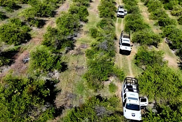 Desactivan explosivos en huerta limonera de Apatzingán; no hay lesionados