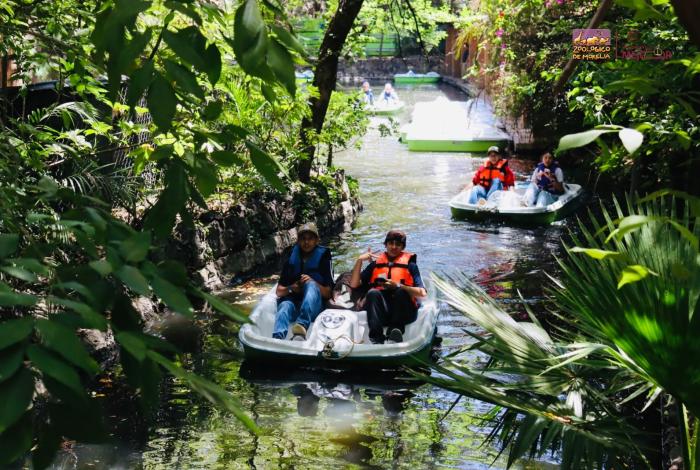 Descubre la magia de la Selva Mexicana a bordo de una lancha en el zoológico