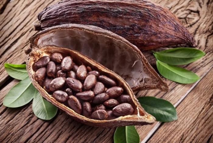 Descubren cuatro nuevas variedades de cacao nativo en Perú con alto potencial genético