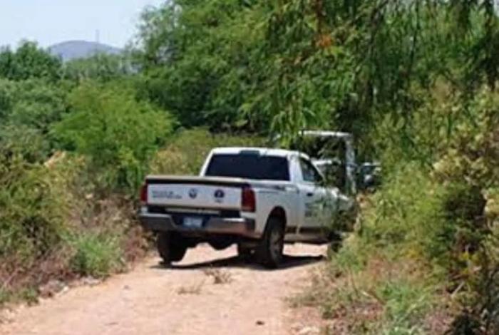 Descubren dos cuerpos con signos de violencia en plantío de plátano en Coahuayana