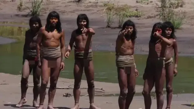 Descubren Imágenes Inéditas de Tribu Amazónica Aislada: Un Testimonio Directo desde la Selva Profunda