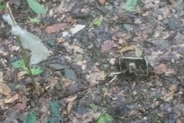 Descubren n4rcom1nas cerca de toma de agua en Chinicuila