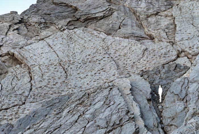 Descubren un colosal "valle de los dinosaurios" en Italia con miles de huellas fosilizadas