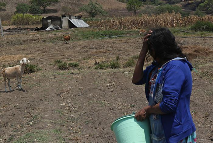 Desplazamiento forzado en Guerrero: Familias nahuas temen volver a sus hogares