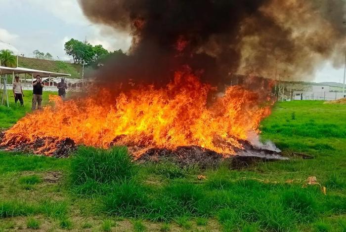 Destruyen 652 kilos de drogas en Michoacán