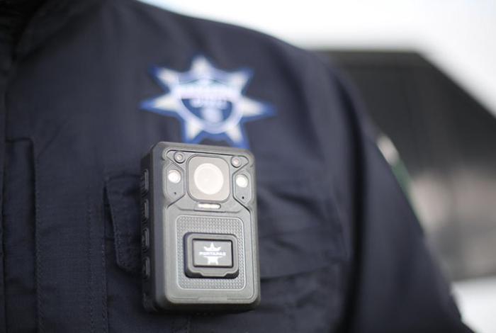 Destruyen campamentos criminales tras ataque en Carapan; operativo “Blindaje Zamora” deja detenidos y aseguramientos