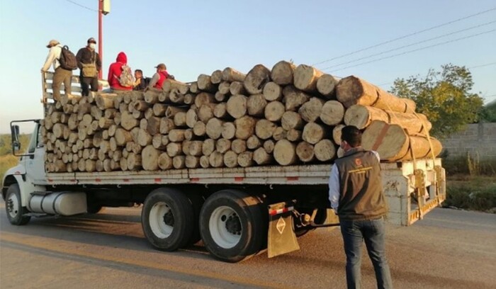 Detiene Fiscalía General a presunto responsable de delitos contra el ambiente, en Pátzcuaro