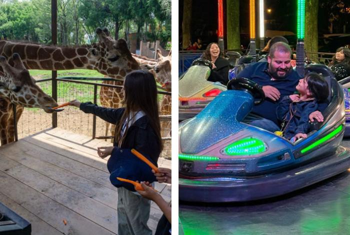 Día de Reyes en Morelia: Gratis, juegos mecánicos en Villa Navideña y entrada al Zoológico, para las niñas y niños