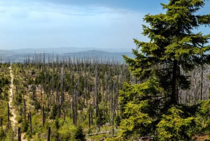 Día Internacional de las Reservas de la Biosfera