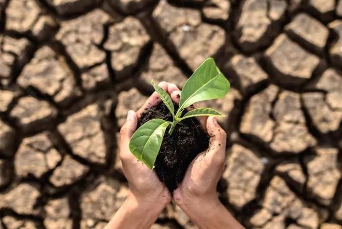 Día Mundial del Suelo: “Alertan sobre la importancia de cuidar el suelo en su día mundial”