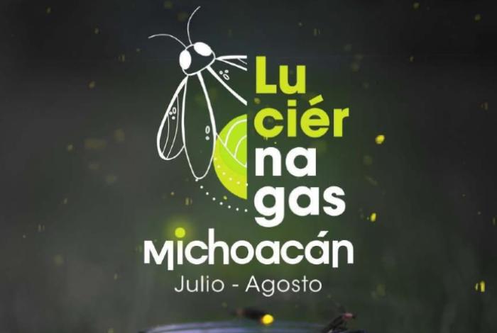 Disfruta la magia de las luciérnagas este verano en Michoacán: Sectur