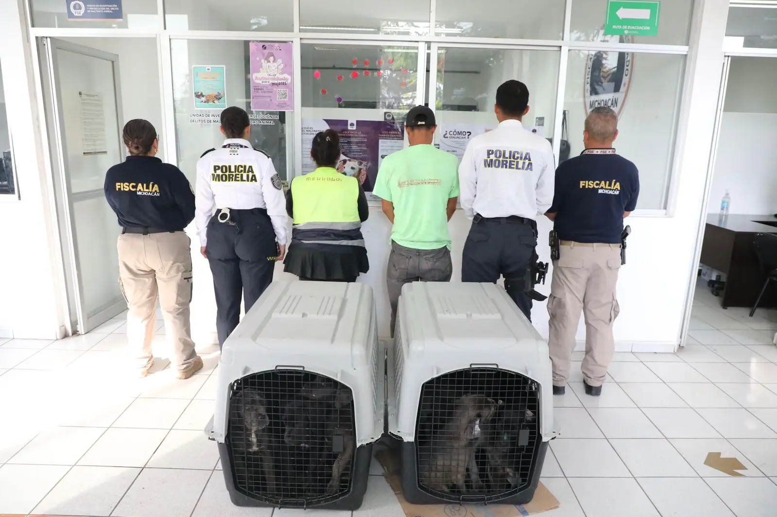 Dos detenidos por intentar vender 8 cachorros en la avenida Juan Pablo II
