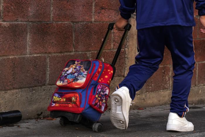 Educación: las cifras incompletas