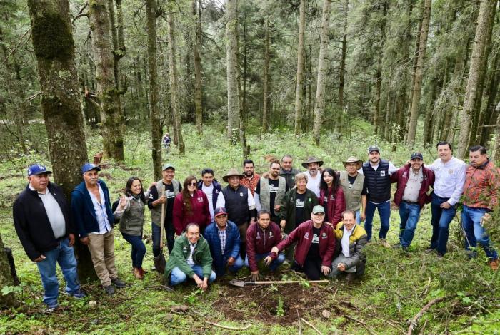 “Ejército verde” llega a 10 municipios de Michoacán con reforestación simultánea